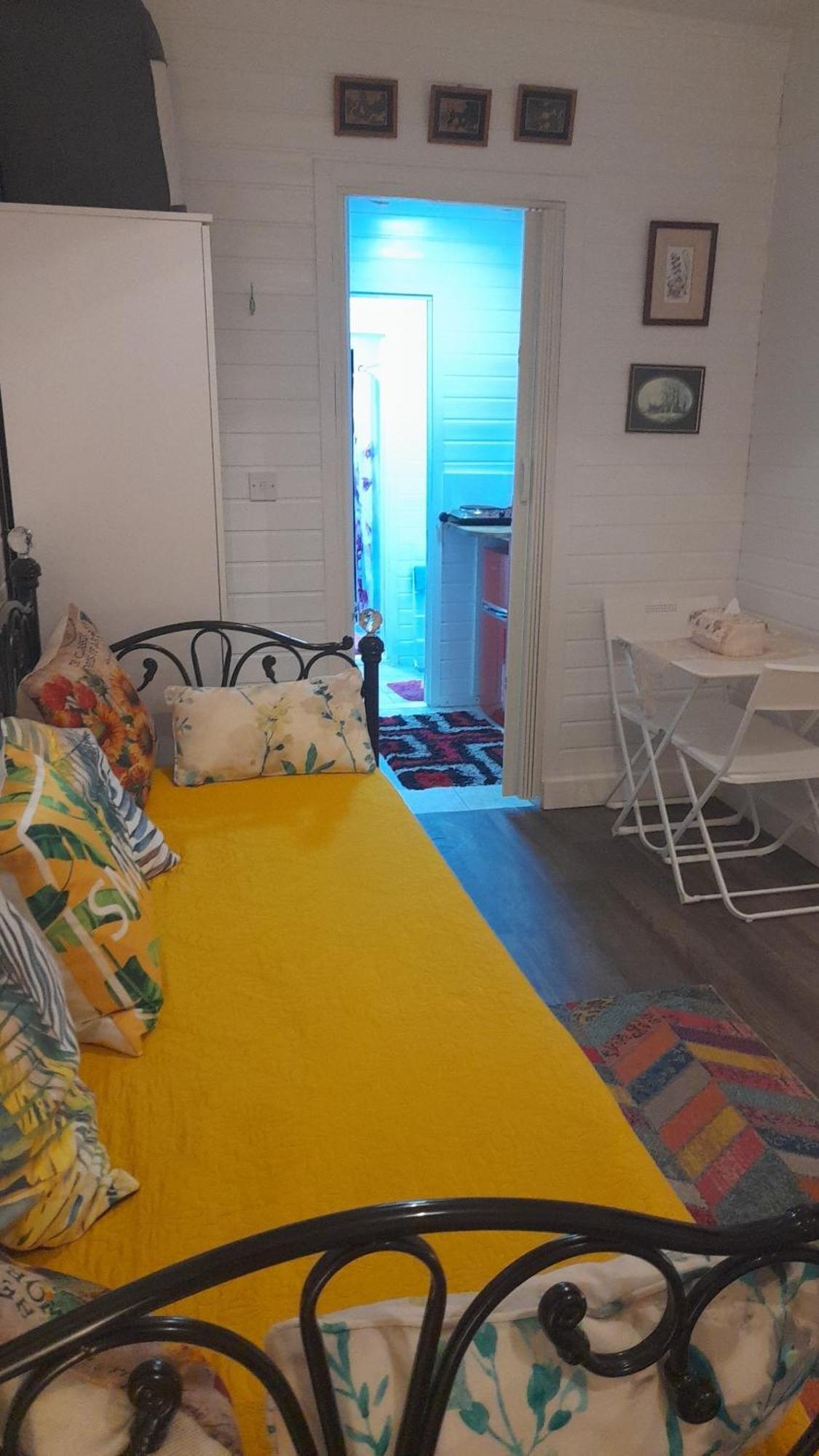 Private Studio Extension With Bathroom And Kitchen Лондон Екстер'єр фото