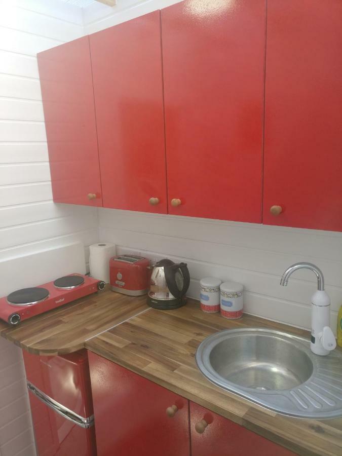 Private Studio Extension With Bathroom And Kitchen Лондон Екстер'єр фото
