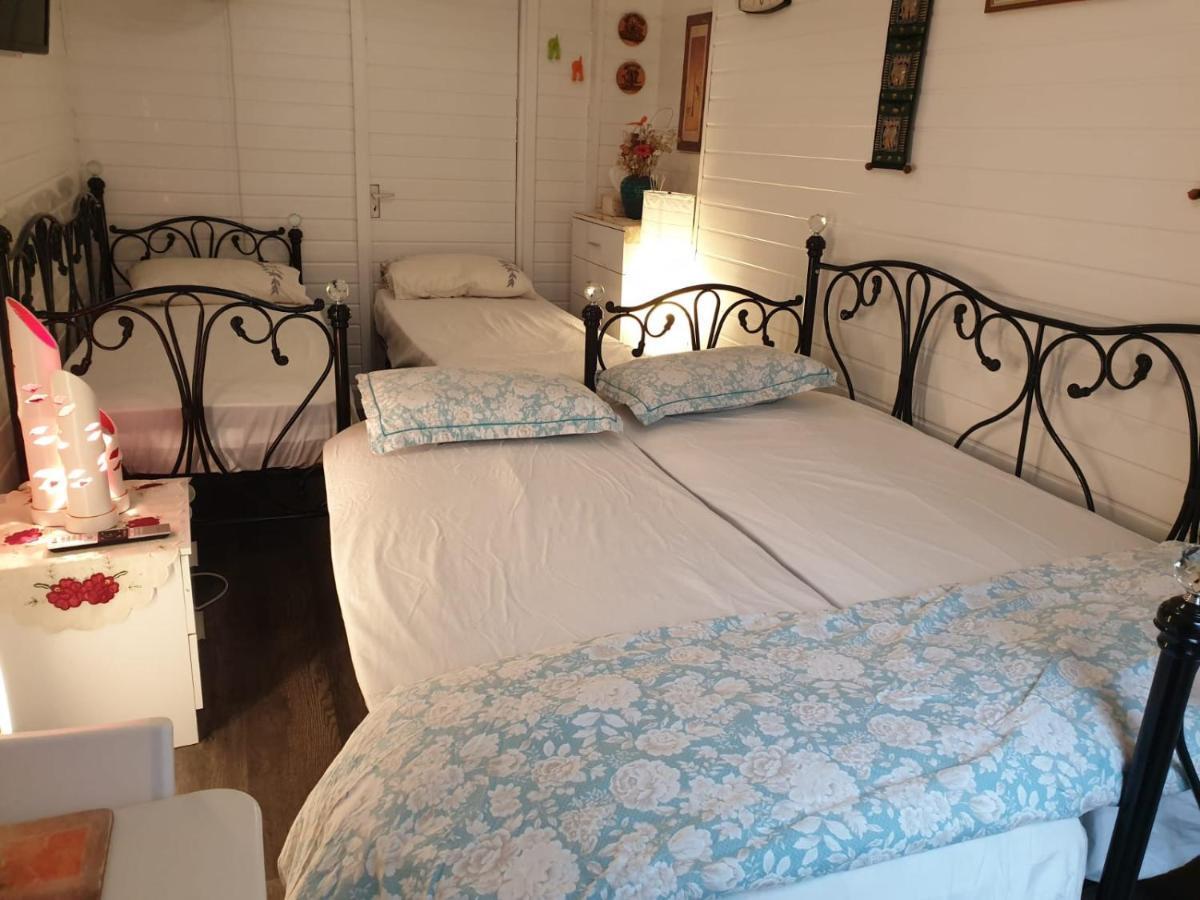 Private Studio Extension With Bathroom And Kitchen Лондон Екстер'єр фото